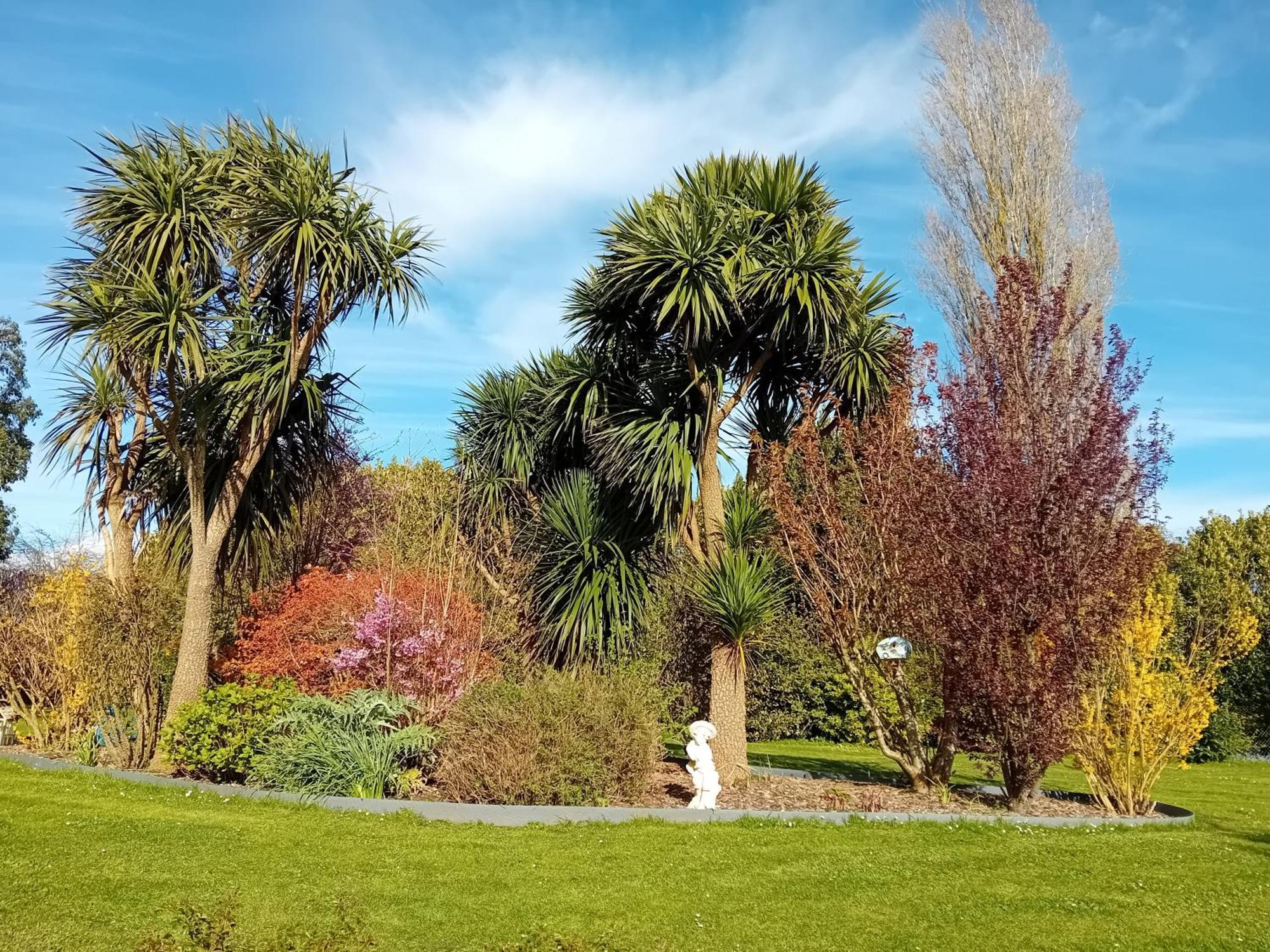 Domaine Du D-Day Bed and Breakfast Saint-Come-du-Mont Exteriör bild